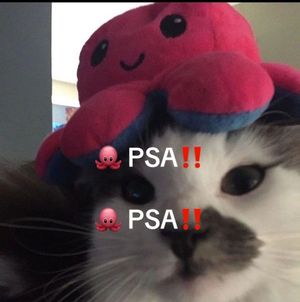 Video post by @universityunion on TikTok