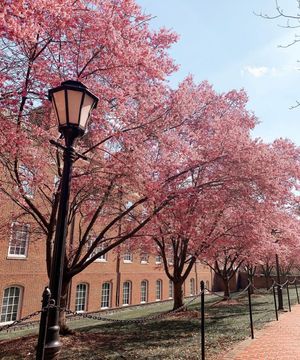 Image post by @udelaware on Instagram