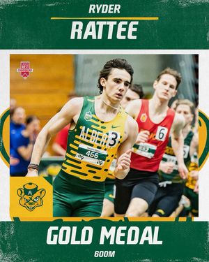 Image post by @bearsandpandas on Instagram