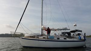 Image post by @sailing_with_phoenix on Instagram
