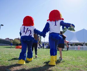 Image post by @kumascots on Instagram