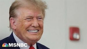 Video post by @msnbc on YouTube