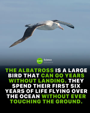 Image post by @science on Instagram