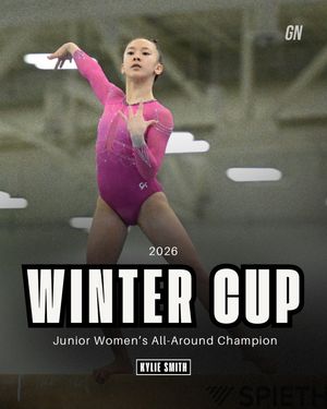 Image post by @gymnastics__now on Instagram