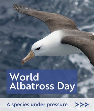 Image post by @rspb on Instagram