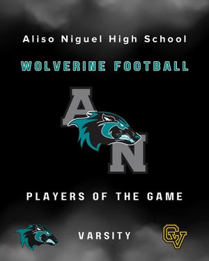Image post by @aliso_football on Instagram