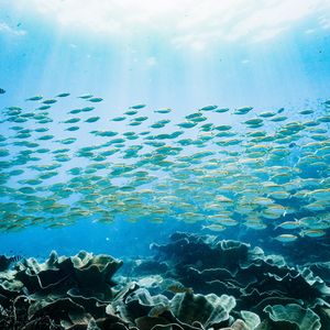 Image post by @discovery on Instagram