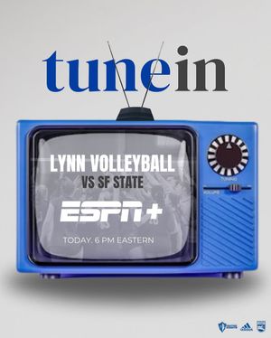 Image post by @lynnvolleyball on Instagram