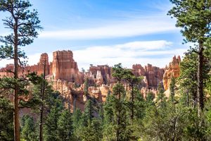 Image post by @_matthewcletus on Instagram