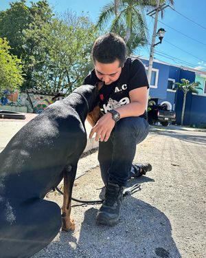 Image post by @patssycanto on Instagram