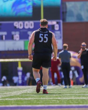 Image post by @elonfb on Instagram