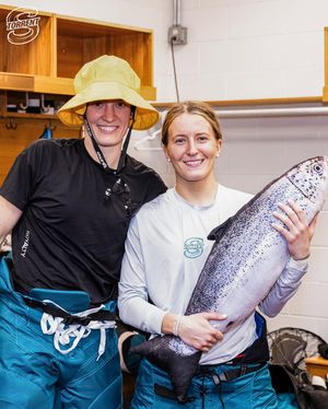 Image post by @pwhl_torrent on Instagram