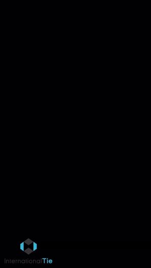 Video post by @internationaltie on Facebook