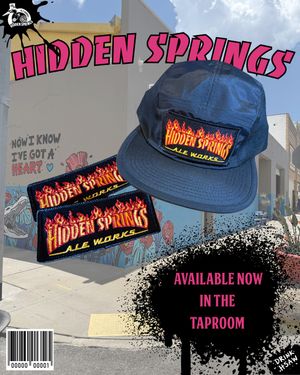 Image post by @hiddenspringsaleworks on Instagram