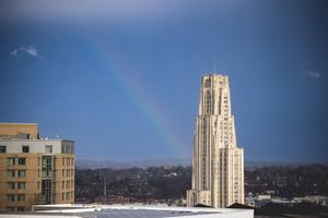 Image post by @pittofficial on Instagram