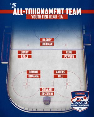 Image post by @usahockey on Instagram
