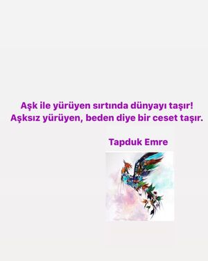 Image post by @kadirkaratasworld on Instagram