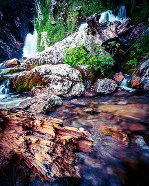 Image post by @cristan.nature.photography on Instagram