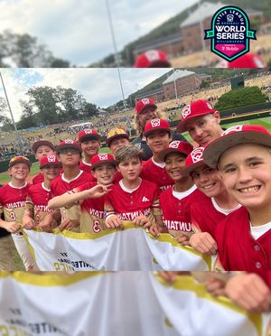 Image post by @littleleague on Instagram