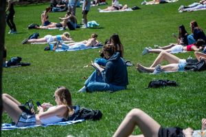 Image post by @onwardstate on Instagram