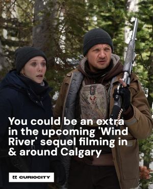 Image post by @curiocitycalgary on Instagram