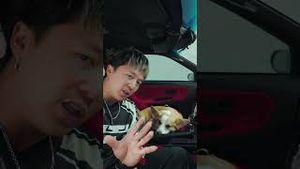 Video post by @haophu on YouTube