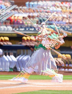 Image post by @thecactusleague on Instagram