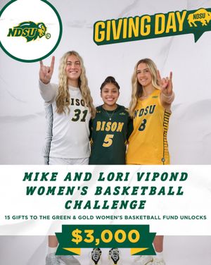 Image post by @ndsuwbb on Instagram