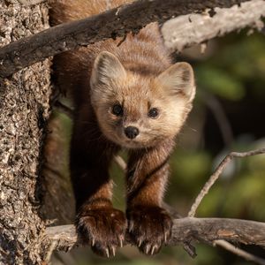 Image post by @bbcearth on Instagram