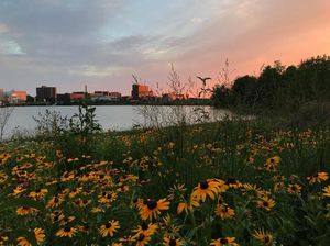 Image post by @universityatbuffalo on Instagram