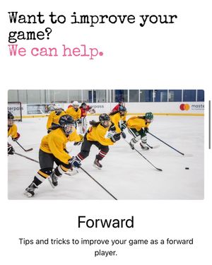 Image post by @hockeygirlzorg on Instagram