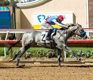Image post by @thoroughbred_daily_news on Instagram
