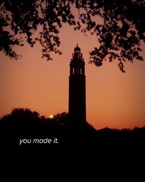 Image post by @lsu on Instagram