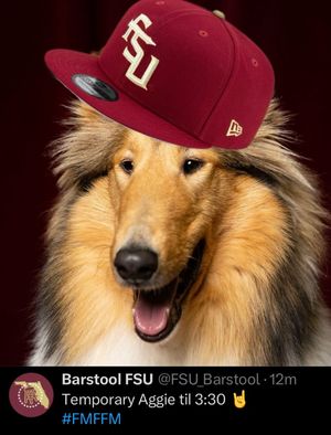 Image post by @barstoolfsu on Instagram