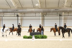 Image post by @aggieequestrian on Instagram