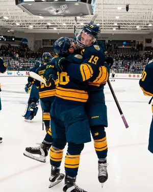 Image post by @merrimack_mih on Instagram