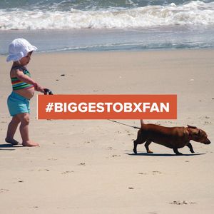 Image post by @theouterbanksnc on Instagram