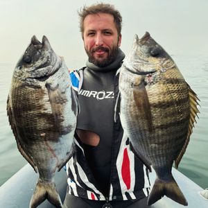 Image post by @erdo_bey_spearfishing on Instagram