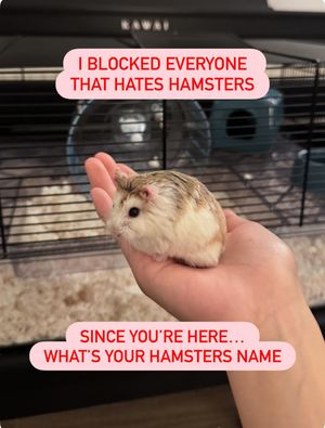 Image post by @petsmart on Instagram
