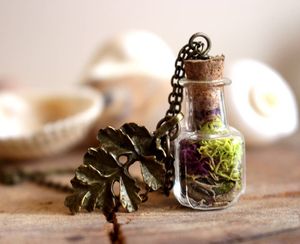 Image post by @leafyaffair on Instagram