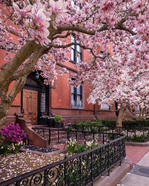 Image post by @mustdoboston on Instagram