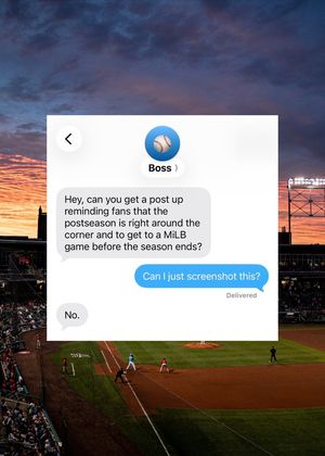 Image post by @MiLB on Twitter