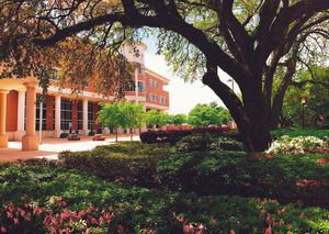 Image post by @jacksonstateu on Instagram