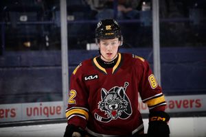 Image post by @Chicago_Wolves on Twitter