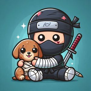 Image post by @theinjuredninjaofficial on Instagram