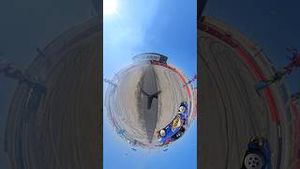 Video post by @thehoonigans on YouTube