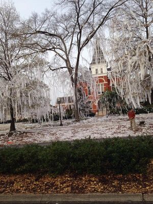 Image post by @AuburnMGolf on Twitter