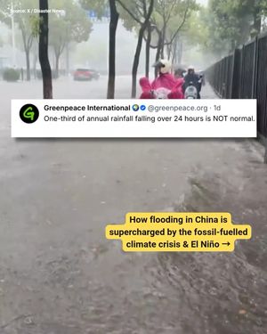 Image post by @greenpeace on Instagram