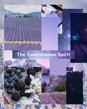 Image post by @enterprise on Instagram