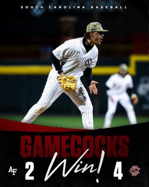 Image post by @gamecockbaseball on Instagram